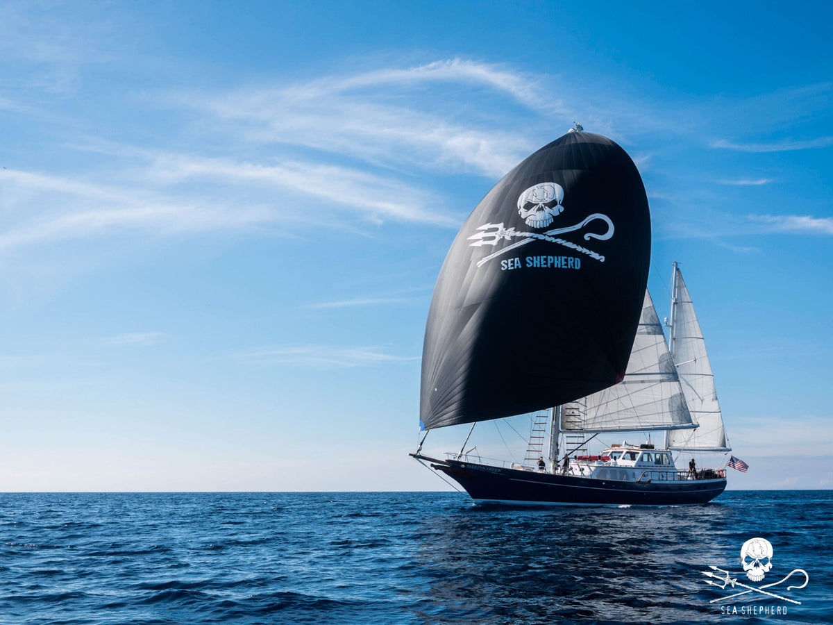 New release from Triwa in the fight against the destruction of the seas