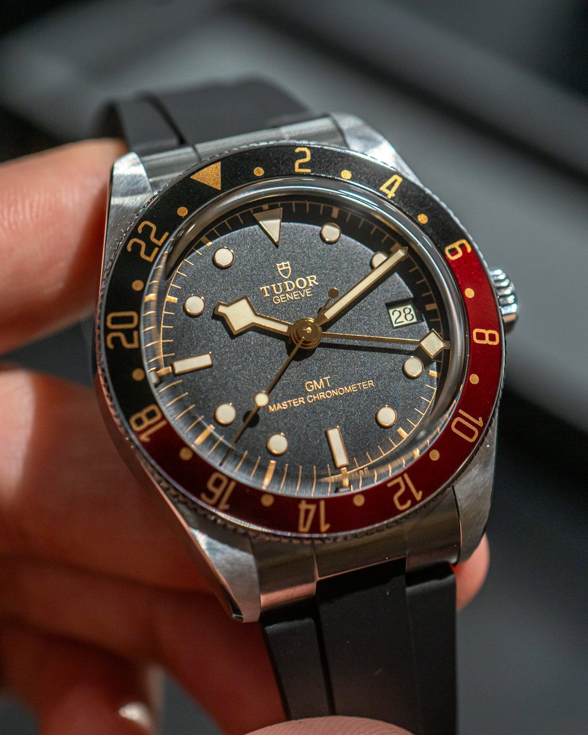 Tudor's news 2024 