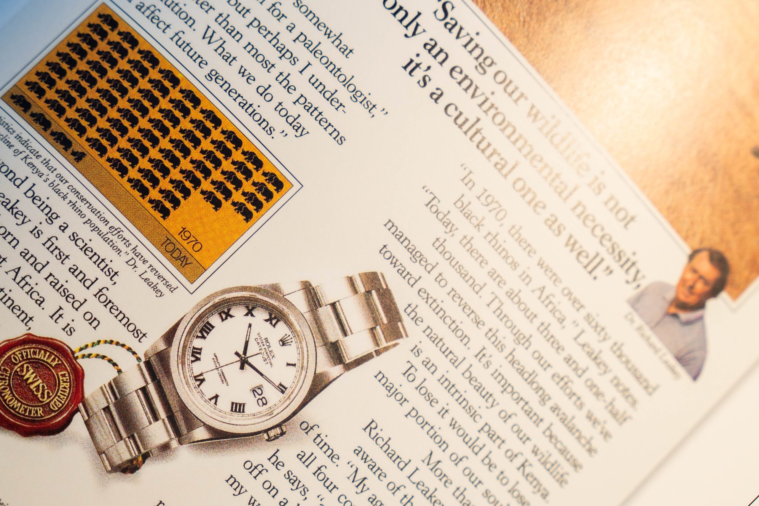 Oyster Perpetual Datejust, bok.