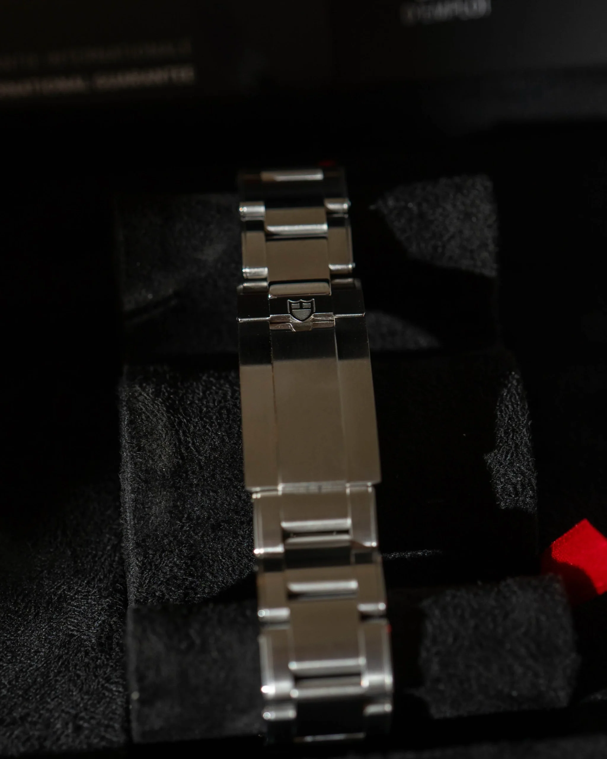 tudor black bay 54 länk detalj