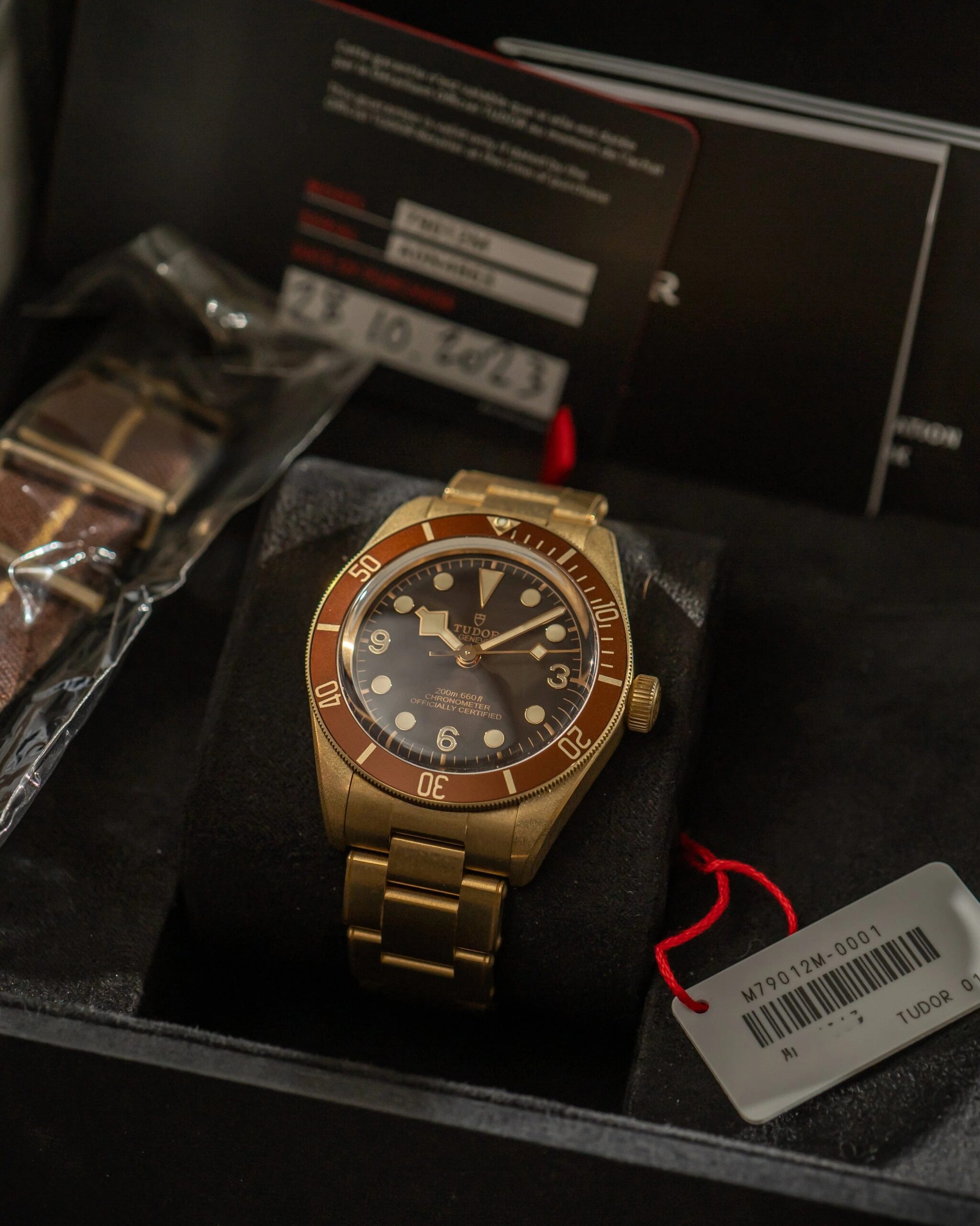 Tudor Black Bay 58 Bronze 79012. Foto Stories of Time.