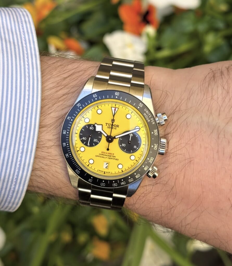 TUDOR Black Bay Chrono 39 "Bumblebee"